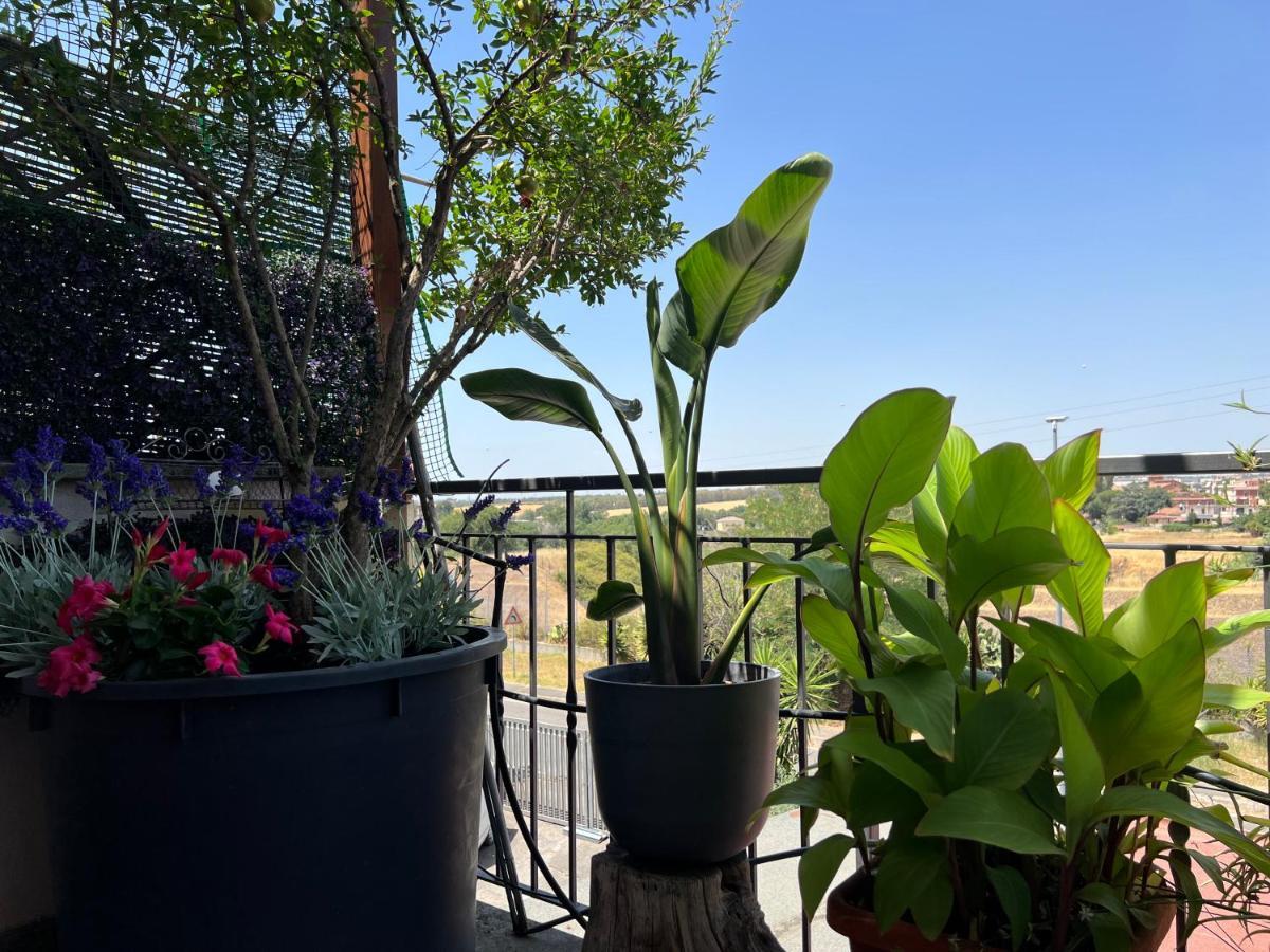 Casa Italia Hospitality Apartment Lunghezza Bagian luar foto